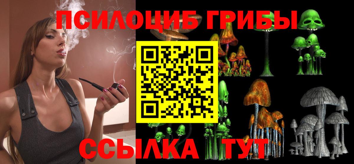 Псилоцибиновые грибы GOLDEN TEACHER Кызыл